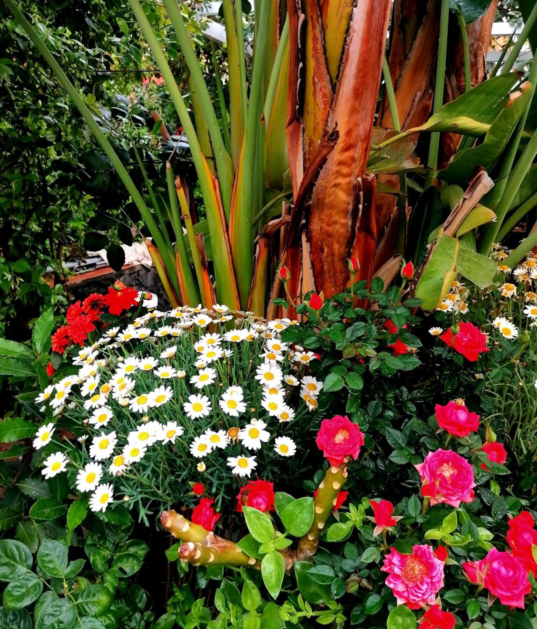 La Foresteria Garden Boutique B&B Катания Экстерьер фото